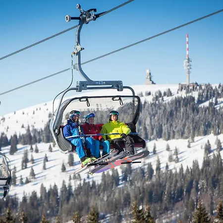 Seeblick Nr 2 5-zimmerwohnung - Feldberg Baerental *