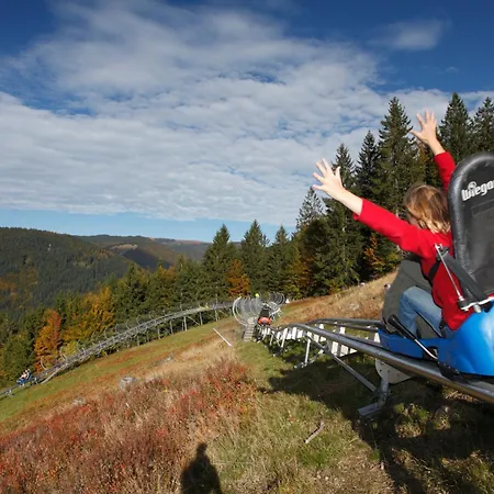 Seeblick Nr 2 5-zimmerwohnung - Feldberg Baerental Lejlighed *