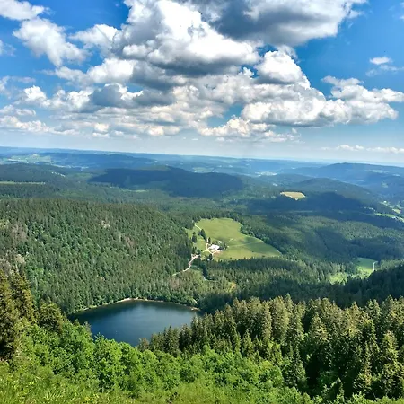 Apartment Seeblick Nr 2 5-zimmerwohnung - Feldberg Baerental Rotwasser