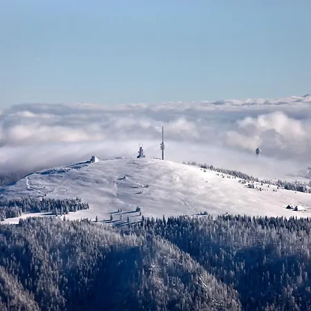 Seeblick Nr 2 5-zimmerwohnung - Feldberg Baerental * Feldberg (Baden-Wurttemberg)