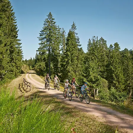 Seeblick Nr 2 5-zimmerwohnung - Feldberg Baerental