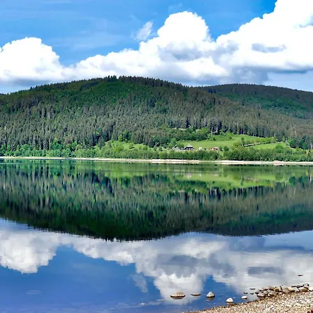 Seeblick Nr 2 5-zimmerwohnung - Feldberg Baerental Lejlighed