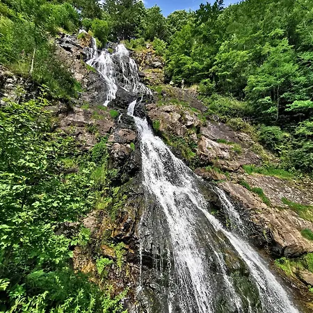 Seeblick Nr 2 5-zimmerwohnung - Feldberg Baerental * Rotwasser
