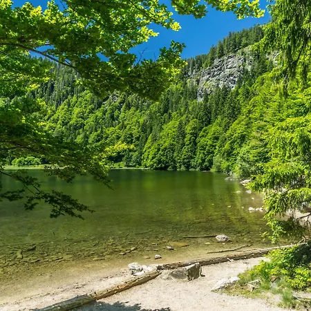 Lejlighed Seeblick Nr 2 5-zimmerwohnung - Feldberg Baerental