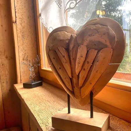 Seeblick Nr 2 5-zimmerwohnung - Feldberg Baerental Apartment Rotwasser